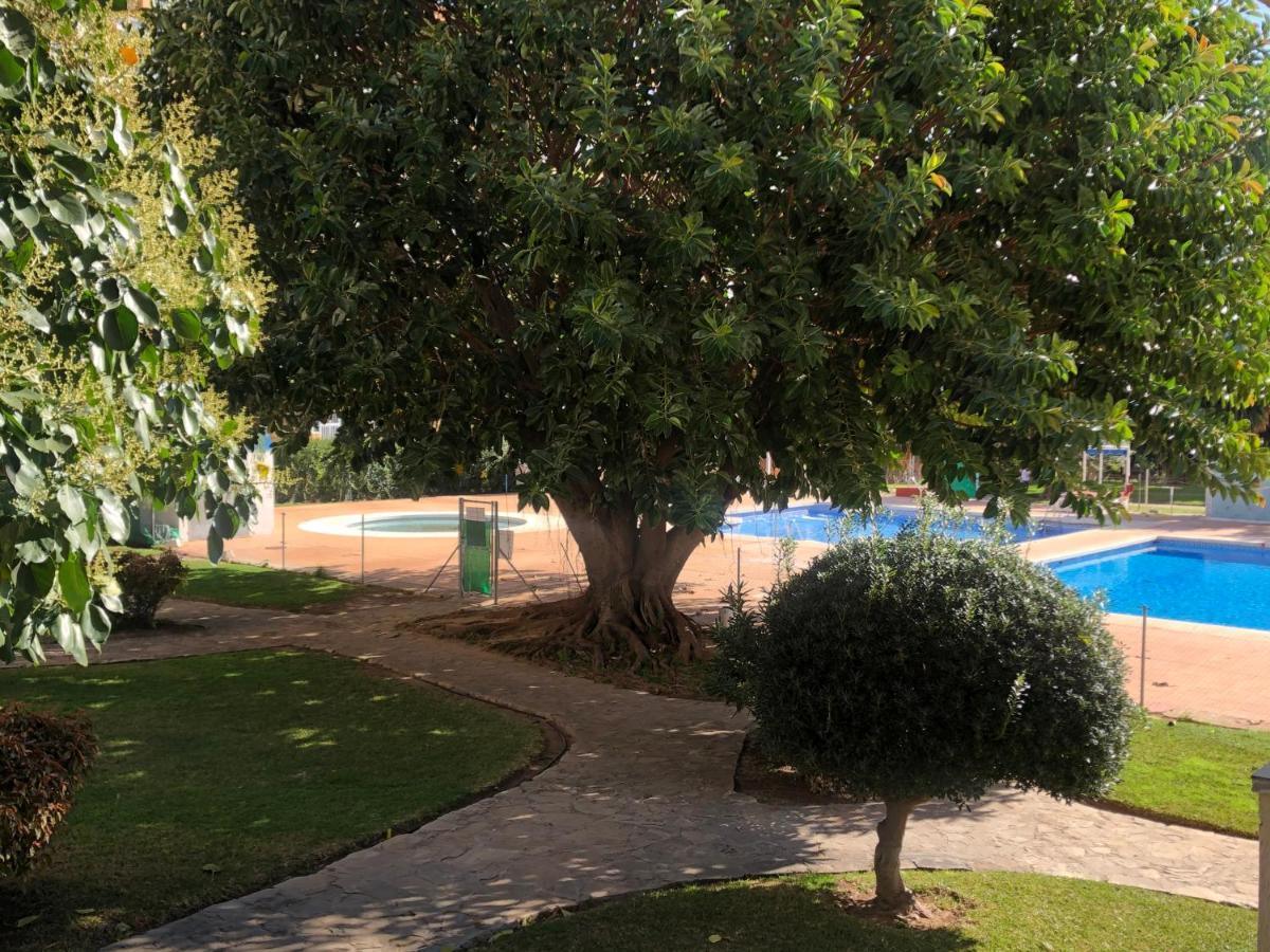 Estudio Vacacional Benalmadena Playa المظهر الخارجي الصورة